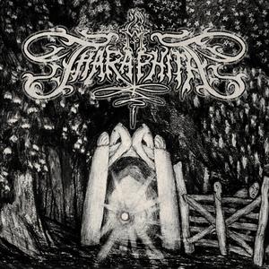 Tagasi pimedasse metsa