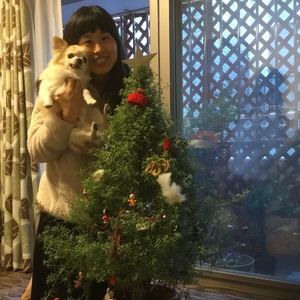 A Happy X'mas For All Beings