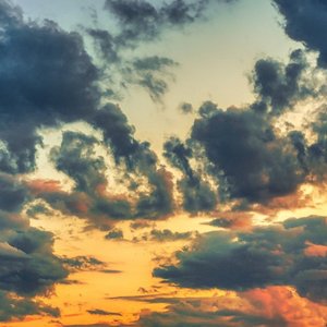 我已不是当年的我