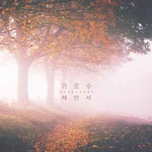 소나무 Pine Tree (소나무)