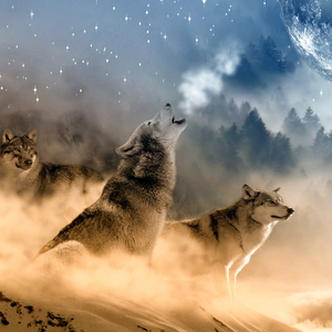 El aullido de un lobo hambriento