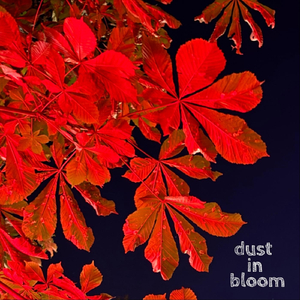 Dust