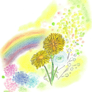 あなたの道 (Live in Akita, 2025)