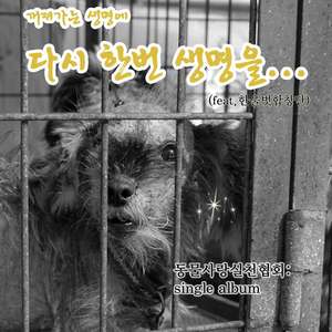 다시한번생명을_instrument