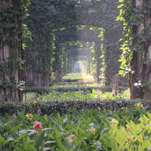 New Home（钢琴升调版）