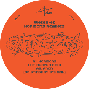 Anon (DJ Stingray 313 Rmx)