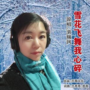雪花飞舞我心碎(DJ晓朋)