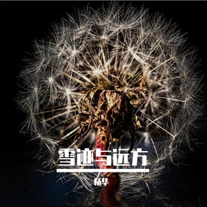 雪迹与远方