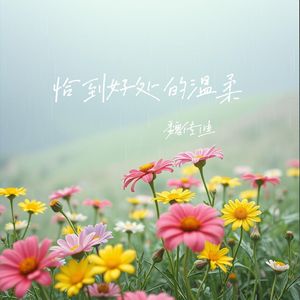 恰到好处的温柔
