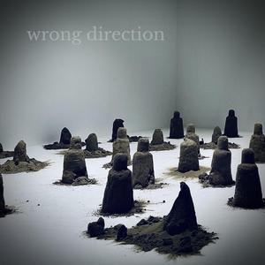 Wrong Direction