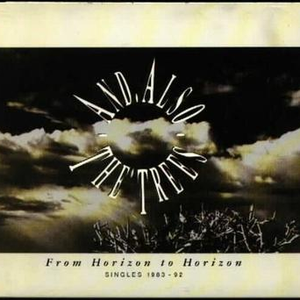 A Room Lives in Lucy