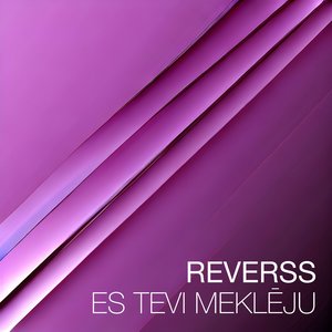 Es Tevi Meklēju (Break The Rock Mix)