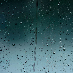 树林里真实雨声