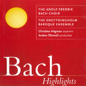 Ich hatte viel Bekummernis, BWV 21:Ich hatte viel Bekummernis, BWV 21: Aria: Seufzen, Tranen, Kummer, Not