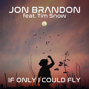 If Only I Could Fly (feat. Tim Snow)