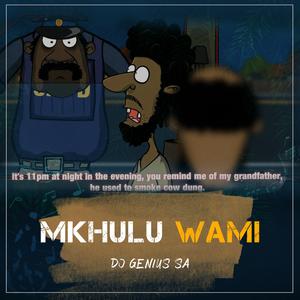 Mkhulu Wami