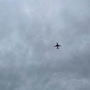 徐海俏-南下-徐海俏，弹唱版（奕新雨唱）（奕新雨 remix）