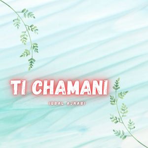 Ti Chamane