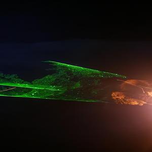 I think this is the tree I wanna climb