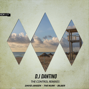 The Control (David Jansen Remix) (David Jansen Remix)