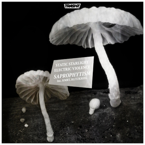 Saprophytism (Blitzkrieg Remix)