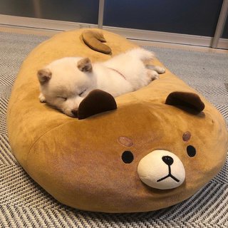 生活奇奇怪怪，但你要可可爱爱呀