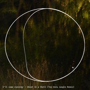 Ghost in a Shell (Tee Vera Jungle Remix)