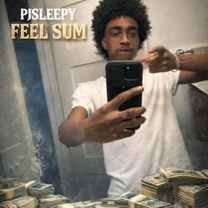 FeelSum