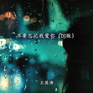 不要忘记我爱你 (DJ2026版)