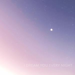 I Dream You Every Night（without vocal）