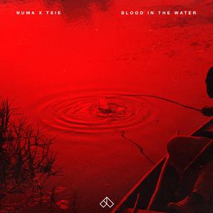 Blood In The Water