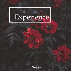 Experience