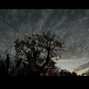 我们最后一首情歌