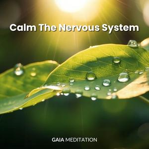 Calm The Nervous System (432 Hz)