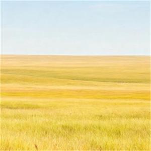 我借红尘二两酒