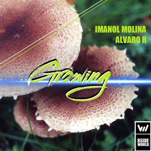 Growing (Original Mix)