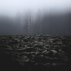 Second Winter