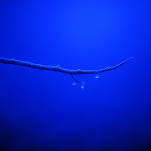 Vite Lontane (Slowed + Reverb)