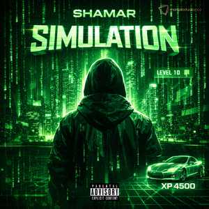 Simulation