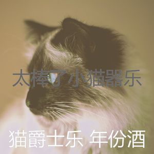 温和睡猫梦想