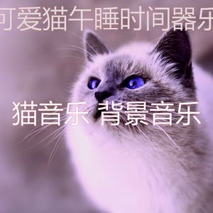 抚慰的睡猫回忆