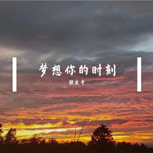 梦想你的时刻