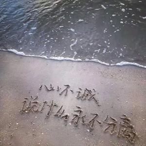 不得不爱（天天都需要你爱）