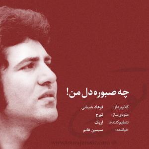 Cheh sabooreh del e man (feat. Simin Ghanem)