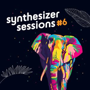 ימים לקצור (Synthesizer Sessions)