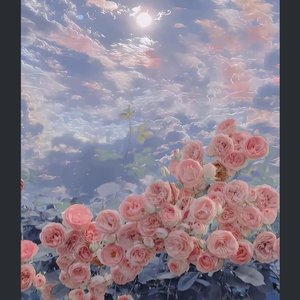 无人知晓的冒险