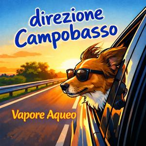Direzione Campobasso