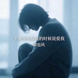 不要在我寂寞的时候说爱我 (Funk版)