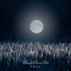 霍爾斯特 行星組曲 木星