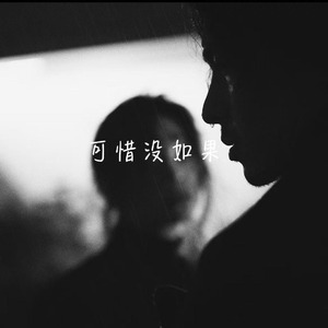 可惜没如果(全都怪我)